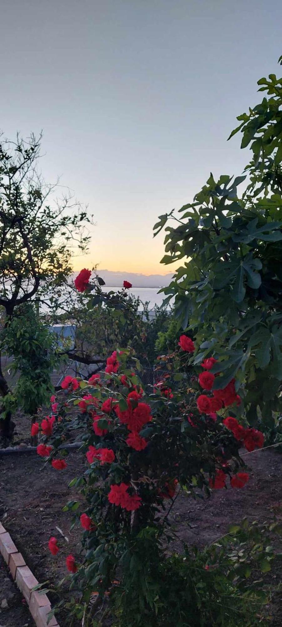 Panorama Studio Kalamata Extérieur photo